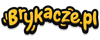 NOVA - brykacze.pl