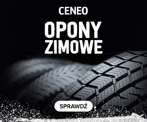 Opony zimowe na Ceneo