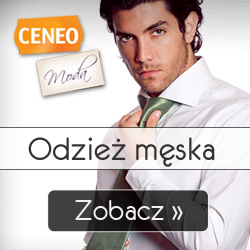 Odzież męska - zobacz na Ceneo.pl